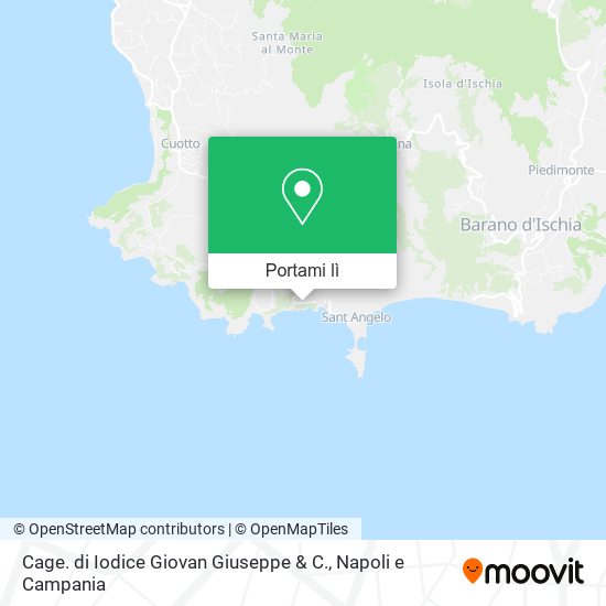 Mappa Cage. di Iodice Giovan Giuseppe & C.