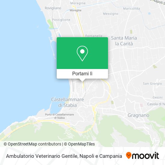 Mappa Ambulatorio Veterinario Gentile