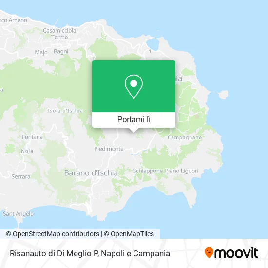 Mappa Risanauto di Di Meglio P