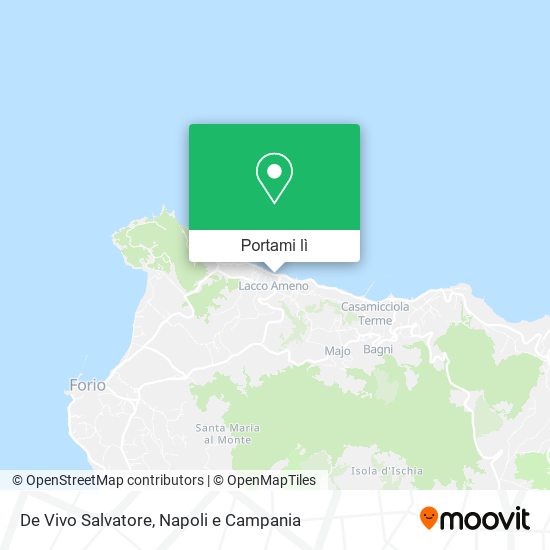 Mappa De Vivo Salvatore
