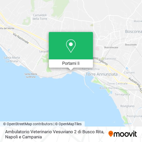 Mappa Ambulatorio Veterinario Vesuviano 2 di Busco Rita