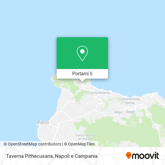 Mappa Taverna Pithecusana