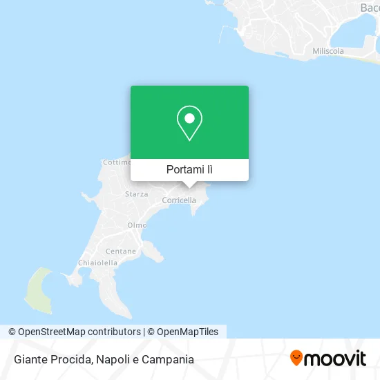 Mappa Giante Procida