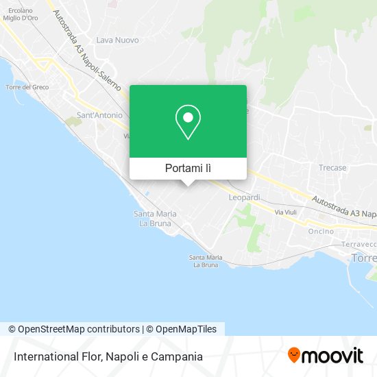 Mappa International Flor