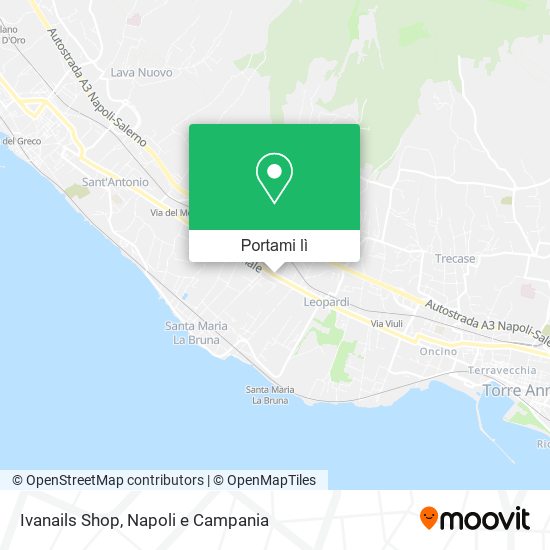 Mappa Ivanails Shop