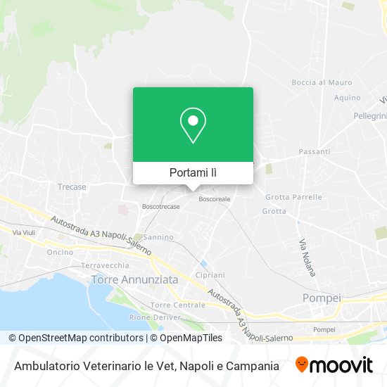 Mappa Ambulatorio Veterinario le Vet