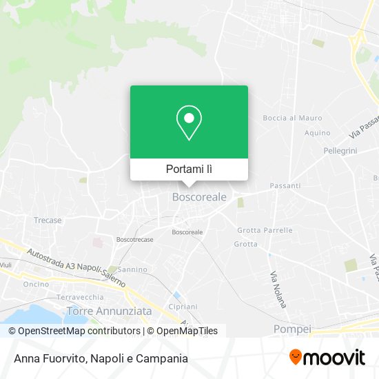 Mappa Anna Fuorvito