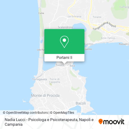 Mappa Nadia Lucci - Psicologa e Psicoterapeuta