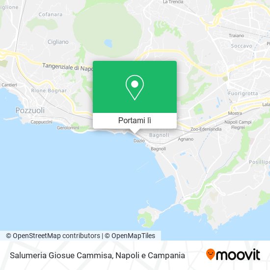 Mappa Salumeria Giosue Cammisa