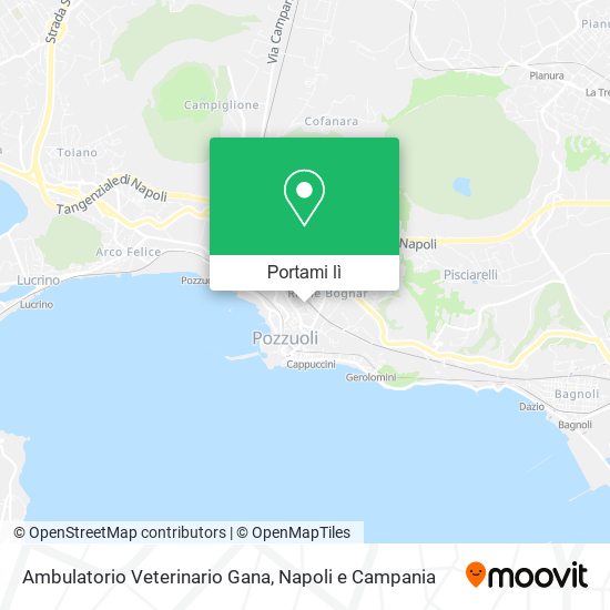 Mappa Ambulatorio Veterinario Gana