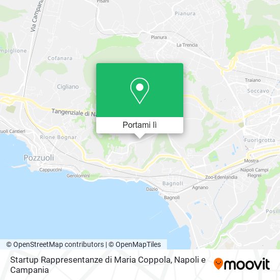 Mappa Startup Rappresentanze di Maria Coppola
