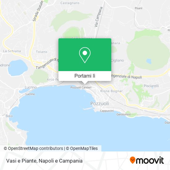 Mappa Vasi e Piante