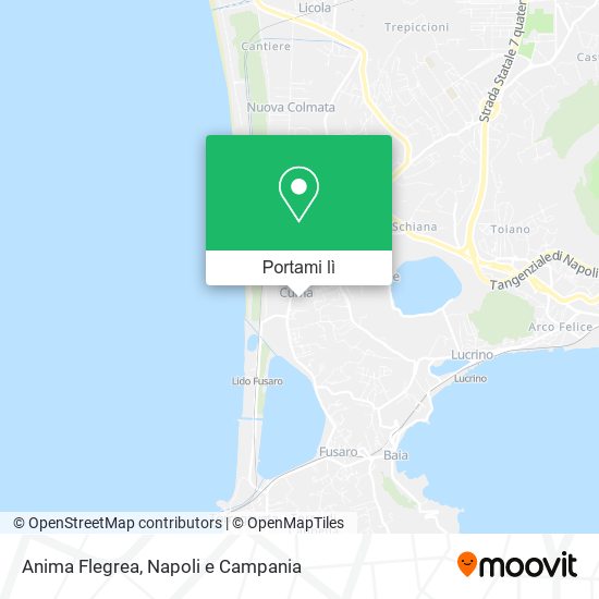 Mappa Anima Flegrea
