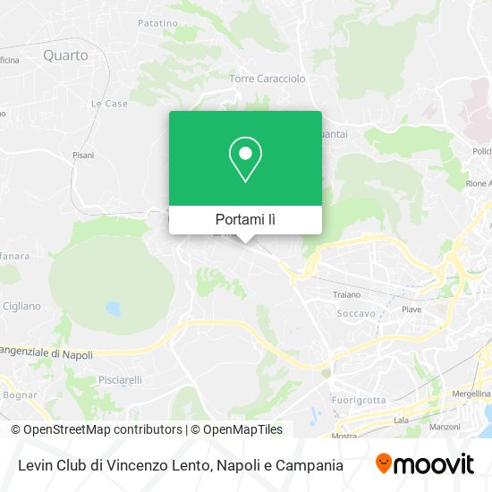 Mappa Levin Club di Vincenzo Lento