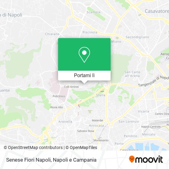 Mappa Senese Fiori Napoli