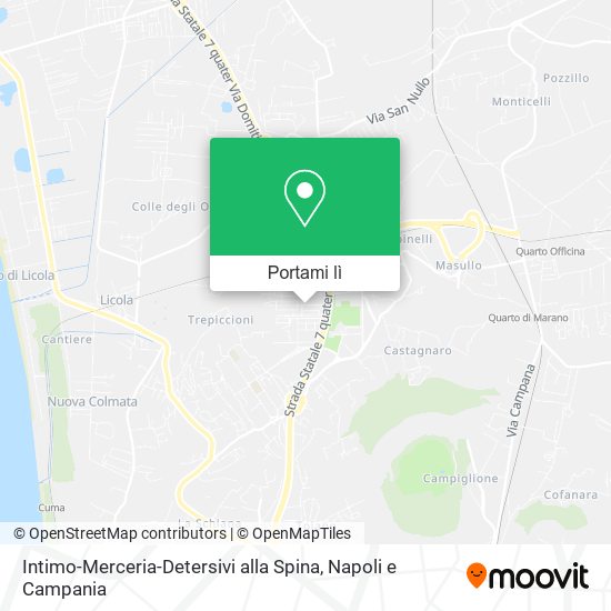 Mappa Intimo-Merceria-Detersivi alla Spina