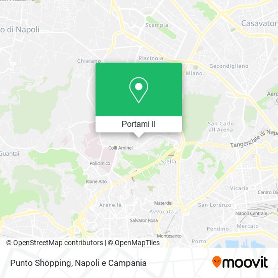 Mappa Punto Shopping