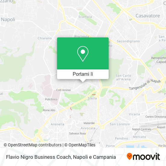 Mappa Flavio Nigro Business Coach