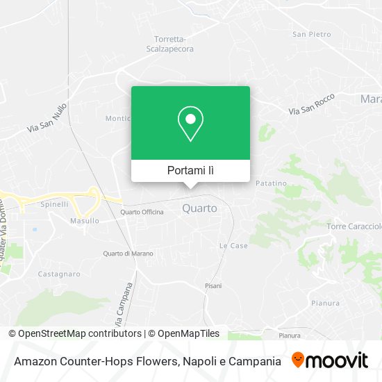 Mappa Amazon Counter-Hops Flowers