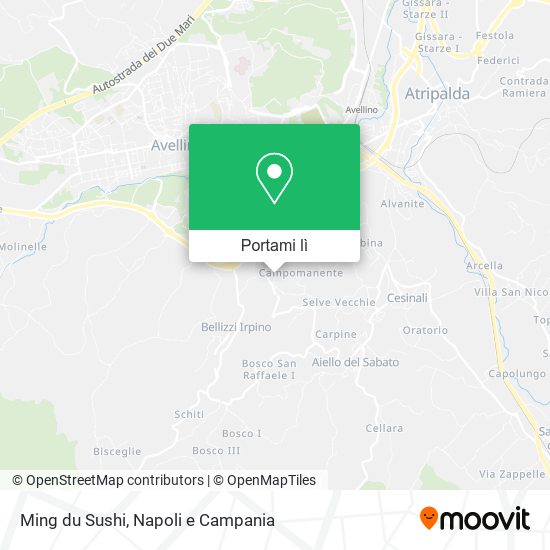 Mappa Ming du Sushi