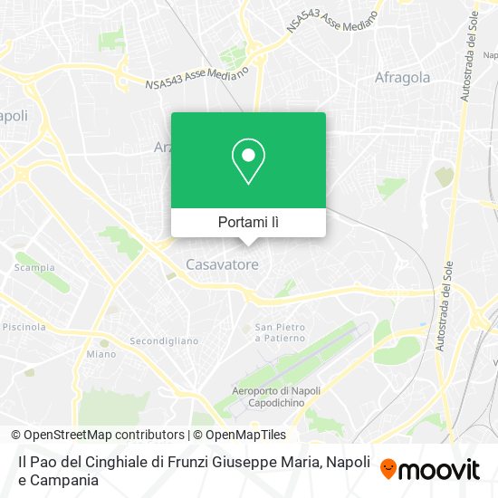 Mappa Il Pao del Cinghiale di Frunzi Giuseppe Maria