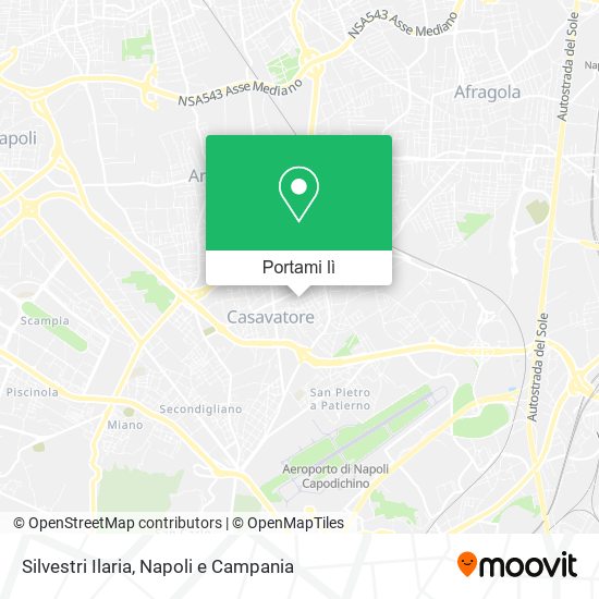 Mappa Silvestri Ilaria