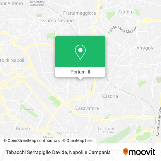 Mappa Tabacchi Serrapiglio Davide