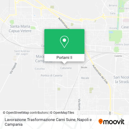 Mappa Lavorazione Trasformazione Carni Suine