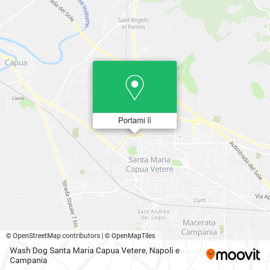 Mappa Wash Dog Santa Maria Capua Vetere