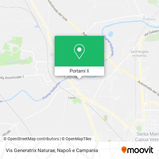 Mappa Vis Generatrix Naturae