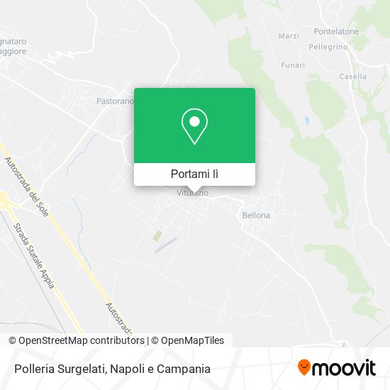 Mappa Polleria Surgelati