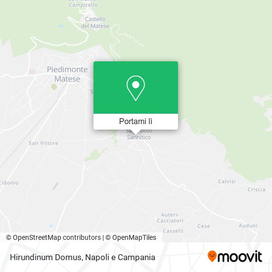 Mappa Hirundinum Domus
