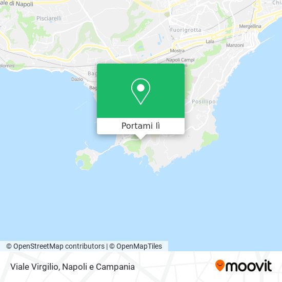 Mappa Viale Virgilio