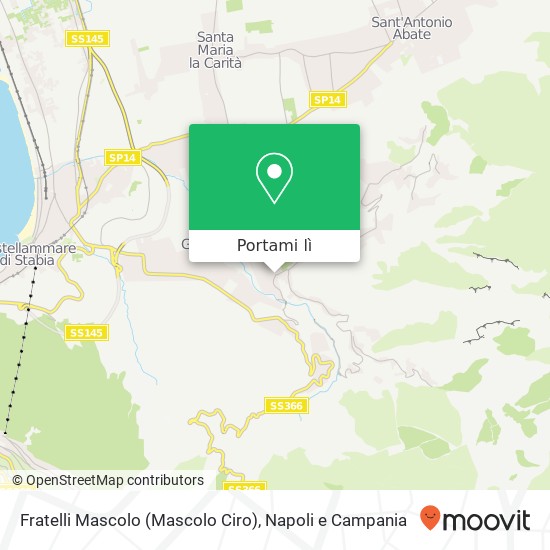 Mappa Fratelli Mascolo (Mascolo Ciro)