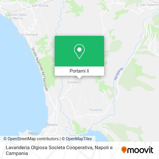 Mappa Lavanderia Olgiosa Societa Cooperativa