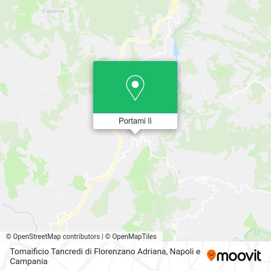 Mappa Tomaificio Tancredi di Florenzano Adriana
