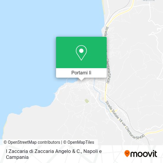 Mappa I Zaccaria di Zaccaria Angelo & C.