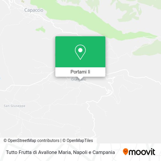 Mappa Tutto Frutta di Avallone Maria