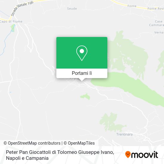 Mappa Peter Pan Giocattoli di Tolomeo Giuseppe Ivano