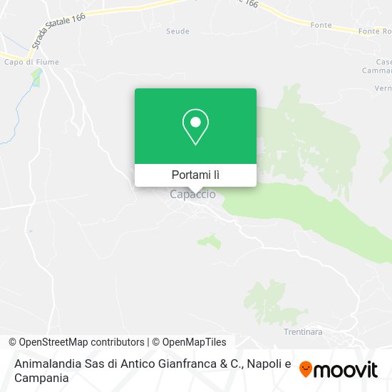Mappa Animalandia Sas di Antico Gianfranca & C.