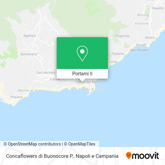 Mappa Concaflowers di Buonocore P.