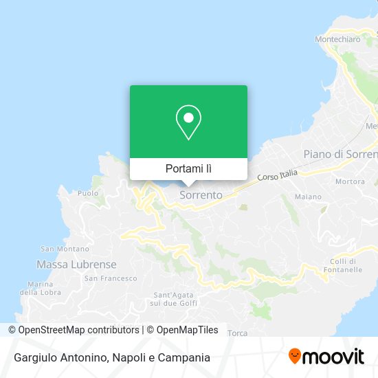 Mappa Gargiulo Antonino