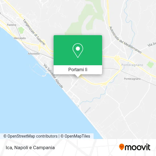 Mappa Ica