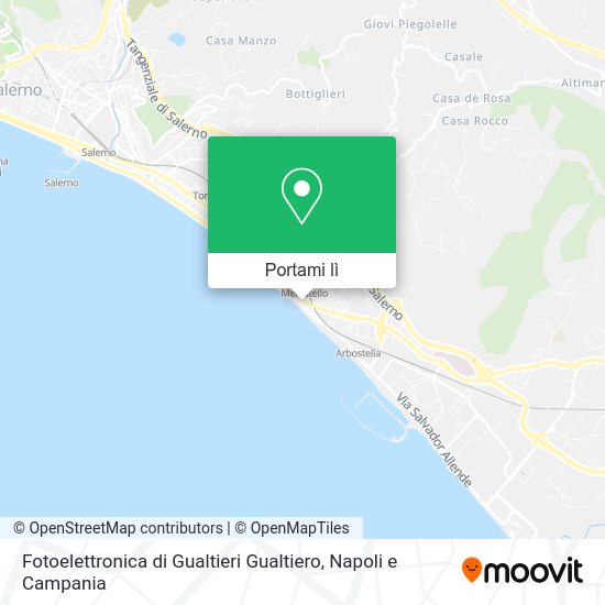 Mappa Fotoelettronica di Gualtieri Gualtiero
