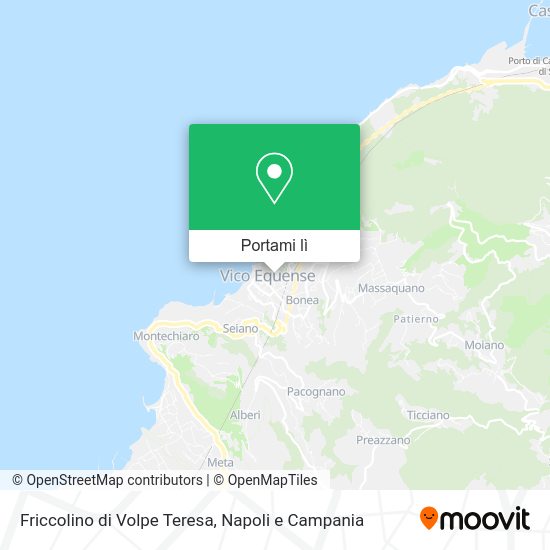 Mappa Friccolino di Volpe Teresa