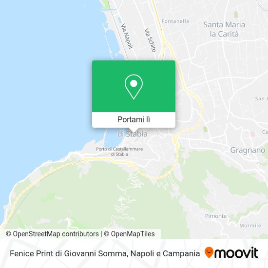Mappa Fenice Print di Giovanni Somma