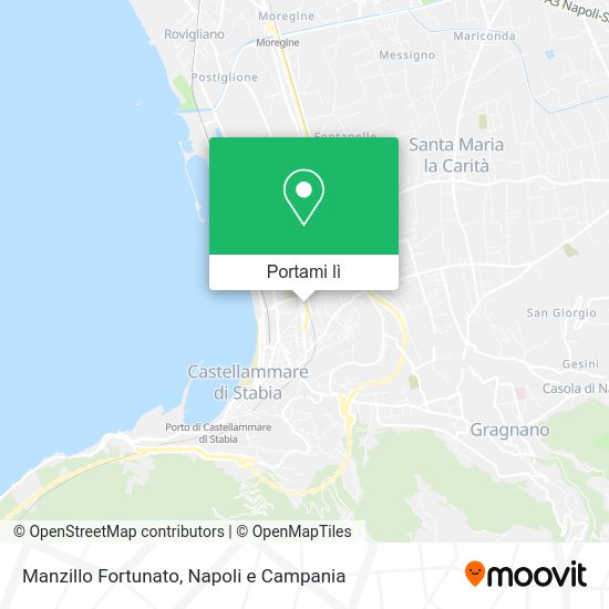 Mappa Manzillo Fortunato