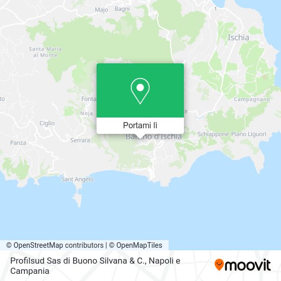 Mappa Profilsud Sas di Buono Silvana & C.