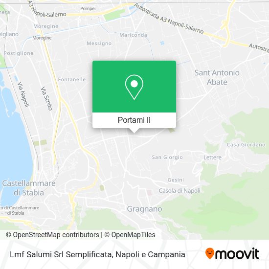 Mappa Lmf Salumi Srl Semplificata