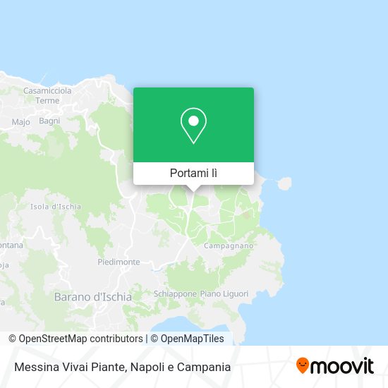 Mappa Messina Vivai Piante